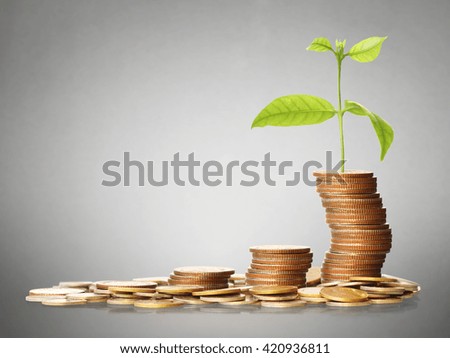 Stack of a golden coins isolated