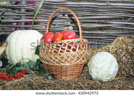 A variety of vegetables: tomatoes, cabbage, pumpkin, offer for sale at the fair.