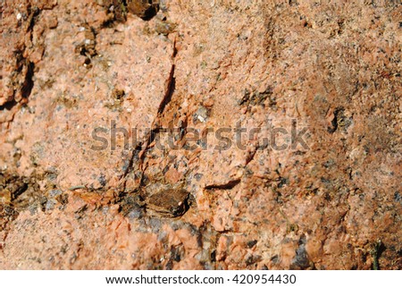 Colorful granite design. Stone Background of mottled granite igneous rock. Arhitectural used. 