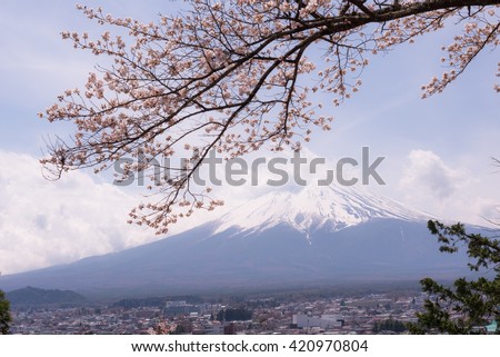 Mountain Fujiyama, a remarkable land mark of Japan in a cloudy day with cherry blossom or Sakura in the frame. The picture of Spring.