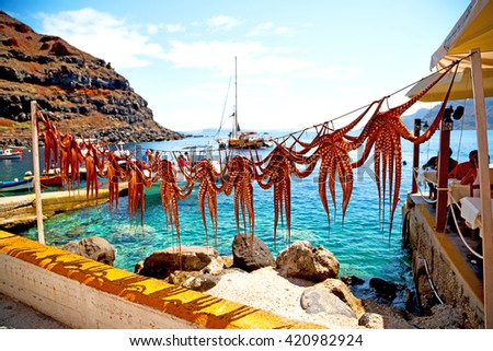 octopus        drying  in the sun europe greece santorini and light Royalty-Free Stock Photo #420982924