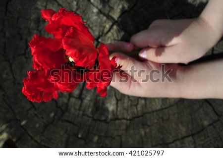 
flower and hand
