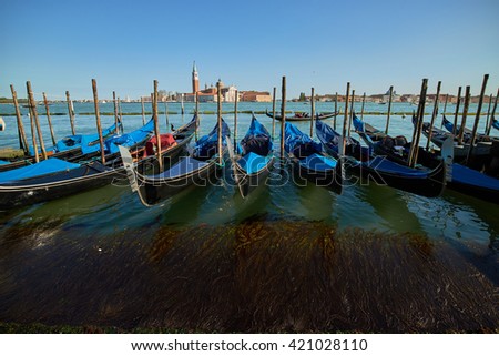 boats on the dock in Venice                               