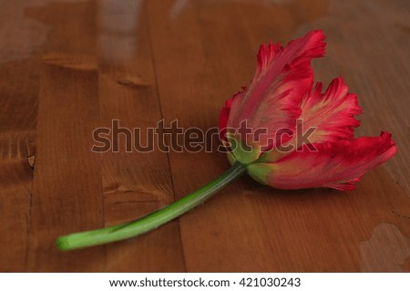 
flower