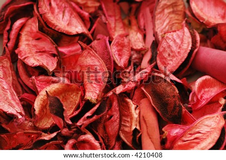 Pink dry leaves -  can be used as background