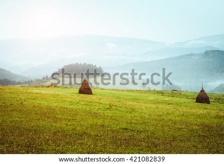 View of the green hills which glowing by sunlight. Dramatic scene and picturesque picture. Location place Carpathian, Ukraine, Europe. Beauty world. Retro and vintage style. Instagram toning effect.