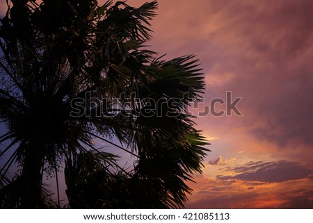 Sky, Bright Blue, Orange And Yellow Colors Sunset. Instant Photo, Toned Image,beautiful sunrise in the clouds, palm trees
