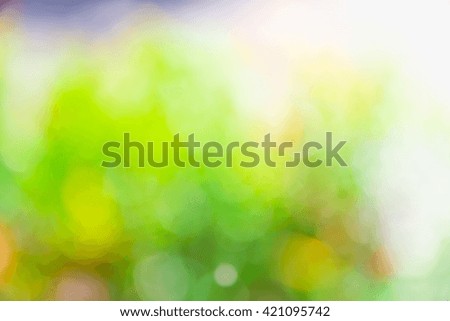blurred green Natural bokeh background