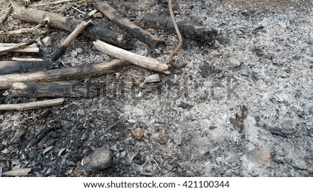 bonfire, charcoal
