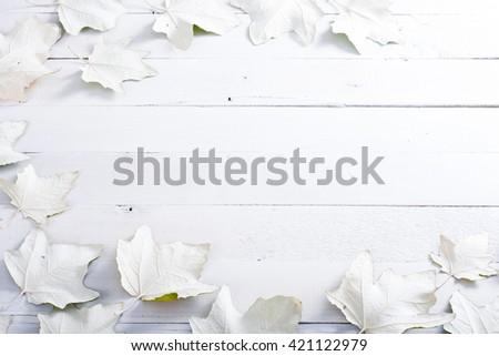 autumn aspen leaves backside on white wood table background