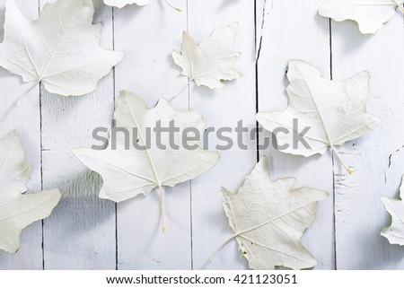 autumn aspen leaves backside on white wood table background
