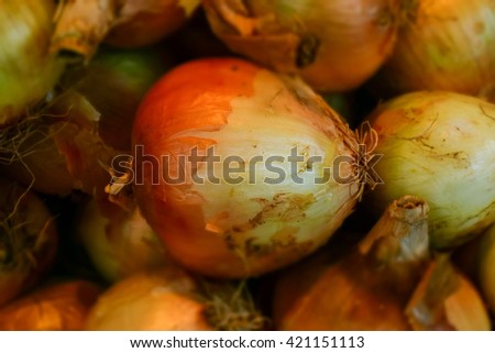 macro detail of an onions basket