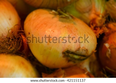 macro detail of an onions basket