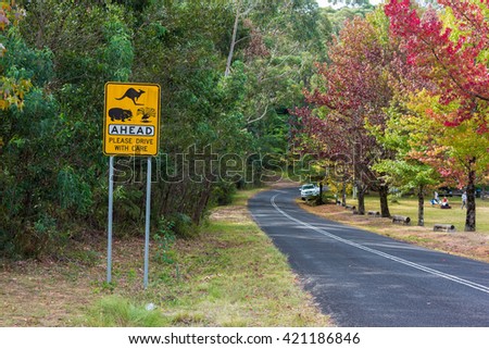 Australian outback road with Wildlife ahead road sign. Country road in rural Australia with Kangaroo, Wombats, Wildlife ahead on the road warning road sign