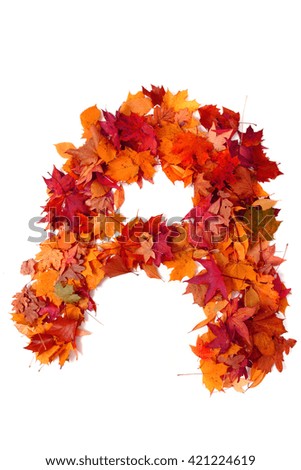 alphabet sign from autumn leaf isolated on the white background