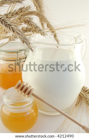 Honey and milk Royalty-Free Stock Photo #4212490