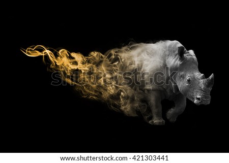 The rhinoceros is one of the big five animals you must see in africa, animal kingdom collection, African wildlife Royalty-Free Stock Photo #421303441
