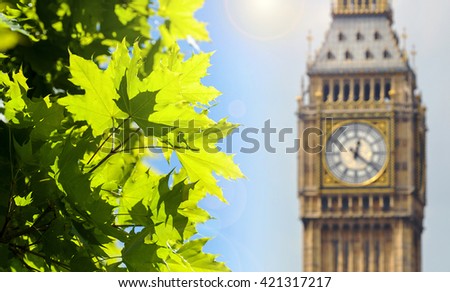 The Big Ben in London and spring maple