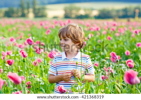 Cute happy little kid boy in blooming poppy field with pink flowers. Smiling child. Active leisure with kids in summer, on sunny warm day, outdoors.