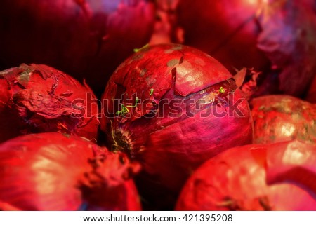 macro detail of red onions