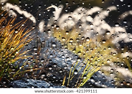 View of the grass through the window glass covered by raindrops