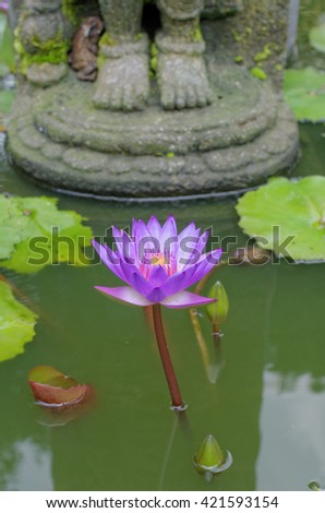 lotus flower under buddha's feet, in mendut buddhist monastery