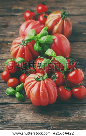 Fresh sweet tomato and basil on the wooden table, selective focus and toned image
