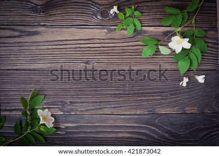 dark rustikaler wood texture. background old panels with flowers