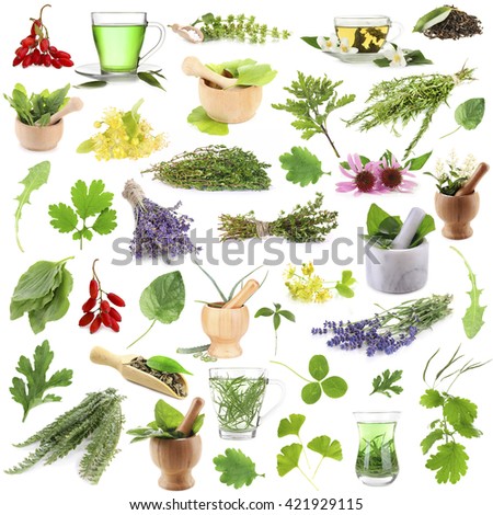 Collage of medicinal herbs isolated on white