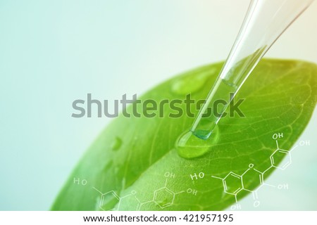 water drop from leaf and laboratory for natural chemistry concept Royalty-Free Stock Photo #421957195