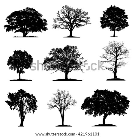 Trees silhouette collection in different layers 