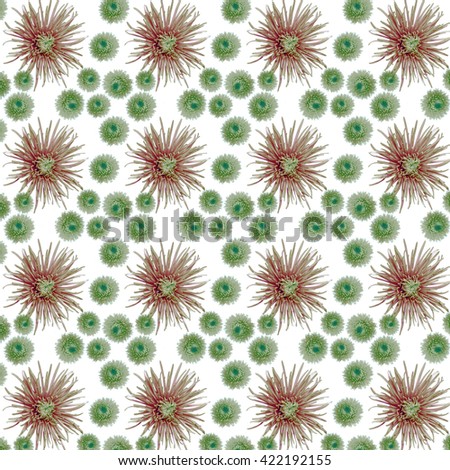 Original rare green chrysanthemum repeating seamless pattern.  Bright floral background.