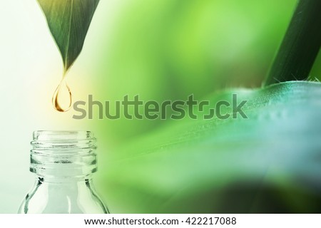 water drop from leaf and laboratory for natural chemistry concept Royalty-Free Stock Photo #422217088