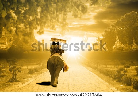 Tourist people sit on Thai elephant for go to see culture ,Ayutthaya,Amazing Thailand
