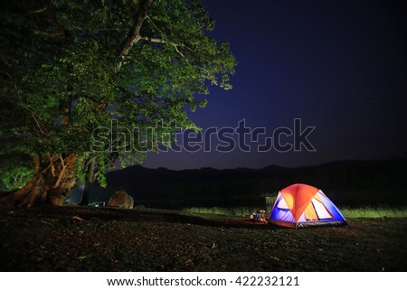 camping under stars  in forest
