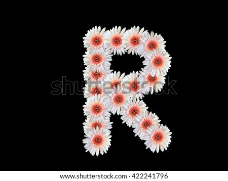 English alphabet " R " letter for Pink daisy Gerbera flowers with black background
