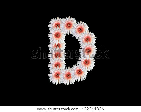 English alphabet " D " letter for Pink daisy Gerbera flowers with black background