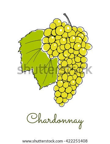 Vector illustration of hand drawn Chardonnay vine with leaf. Beautiful design elements. Royalty-Free Stock Photo #422251408