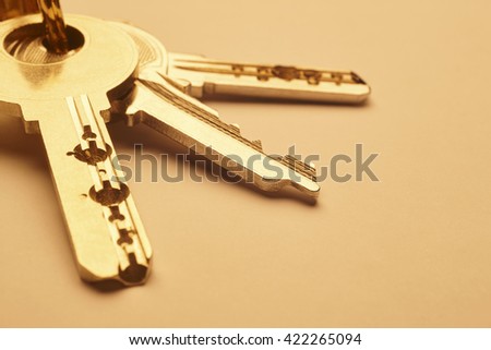 Keyring with keys in golden tone over an empty background. Horizontal