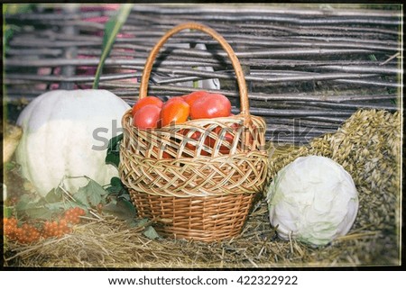 A variety of vegetables: tomatoes, cabbage, pumpkin, offer for sale at the fair.