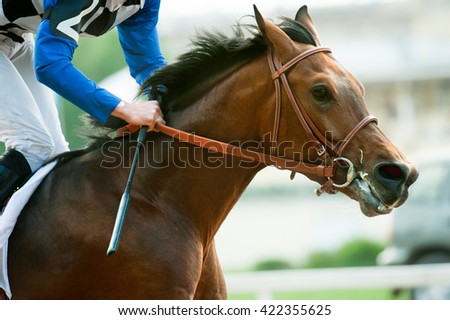 racing horse portrait in action Royalty-Free Stock Photo #422355625
