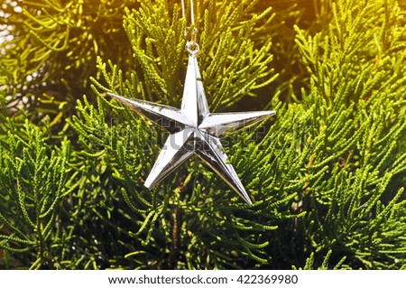 Star silver on christmas tree