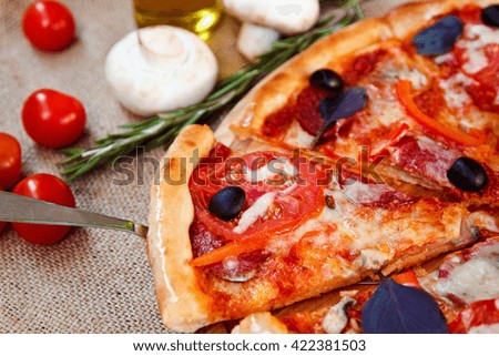 Hot Homemade Pizza Ready to Eat with salami rosemary and cherry tomatoes