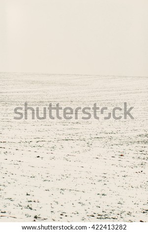 Snowy misty field. Vintage effect. Postcard inspiration.
