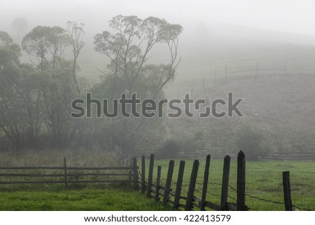 Colour picture of a rustic rural scene on a foggy day