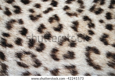 leopard skin spots