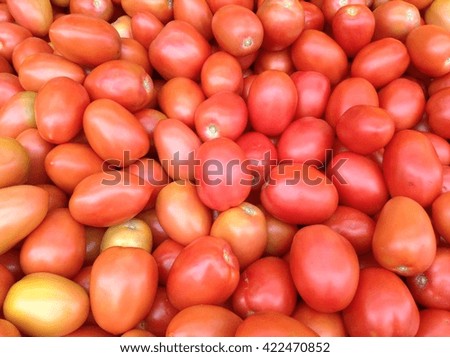  fresh tomatoes as red carpet