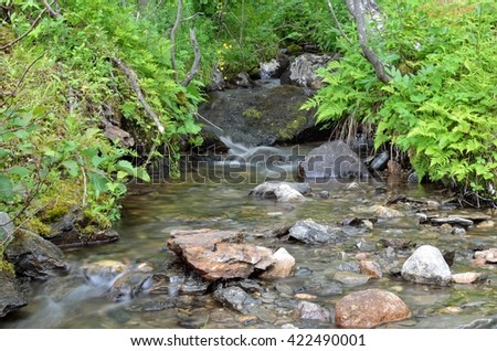beautiful small fresh water mountain creek in lush summer nature flowing over small rocks and stones