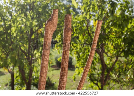 branch with tree background