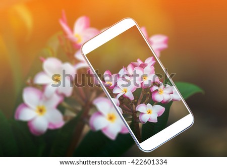 holding mobile phone , pink flower background pastel tone style